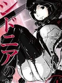 希德尼娅的骑士