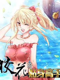 校花的贴身高手