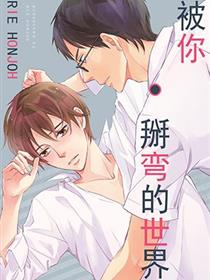 被你掰弯的世界