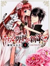 我家的陛下是新手哟