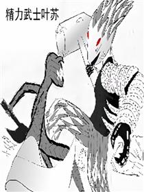 精力武士叶苏高清无码重置版