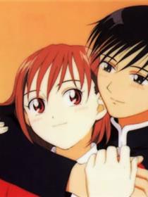 彼氏彼女的故事