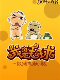 我是毛球