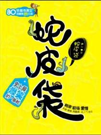 蛇皮袋（尹一）