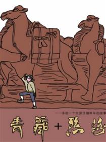 我这个女子的进藏路