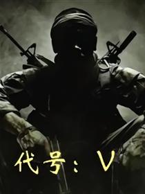 代号V