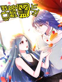 我被总裁黑上了