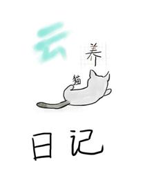 云养猫日记
