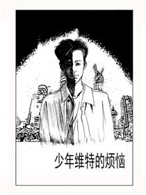 少年维特的烦恼