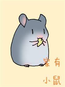 家有小鼠
