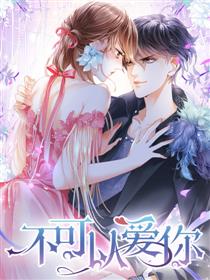 不可以爱你