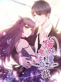 猫妖撞上鬼夫总裁