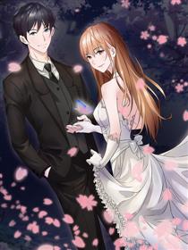 重生之名门豪妻