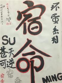 宿命之苍天可逆