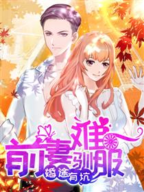 婚途有坑：前妻难驯服