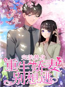 完美替身：娇妻太神秘