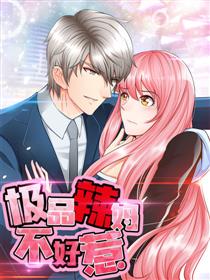 极品辣妈不好惹