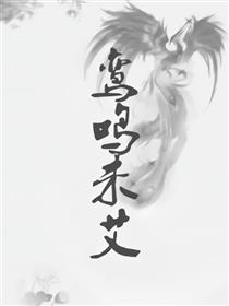 火影·鸾鸣未艾