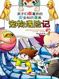 宠物历险记