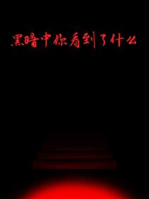 黑暗中你看到了什么