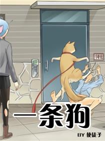 一条狗（条漫）