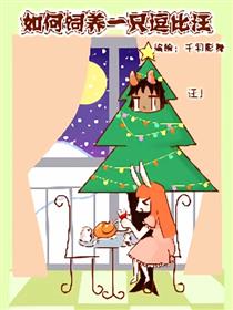 如何饲养一只逗比汪