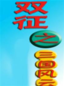双征之三国风云