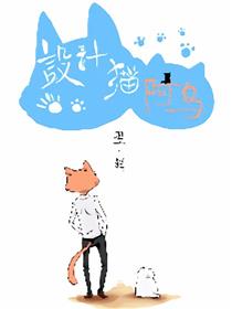设计猫阿乌