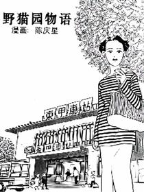 野猫园物语