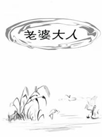 老婆大人