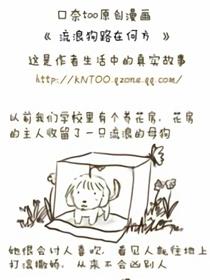 流浪狗路在何方