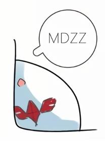 宝马X6追尾五菱宏光